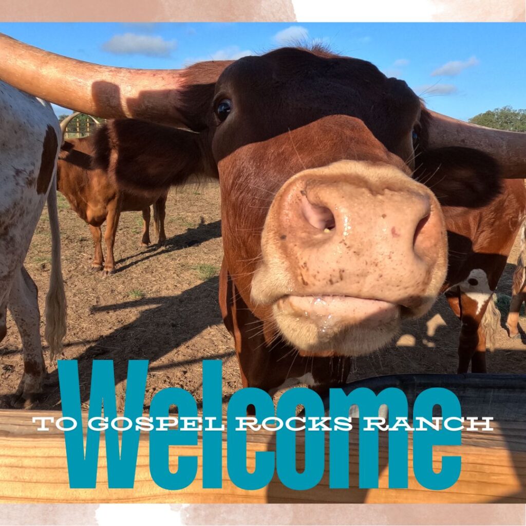 Welcome to Gospel Rocks Ranch