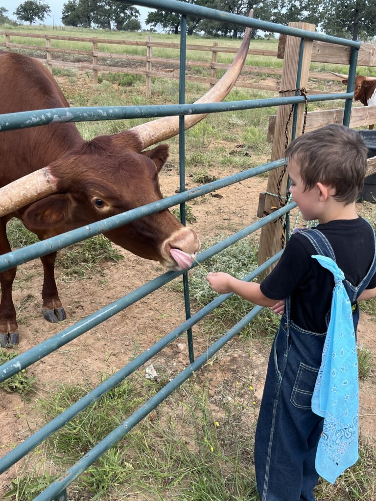 Longhorns
